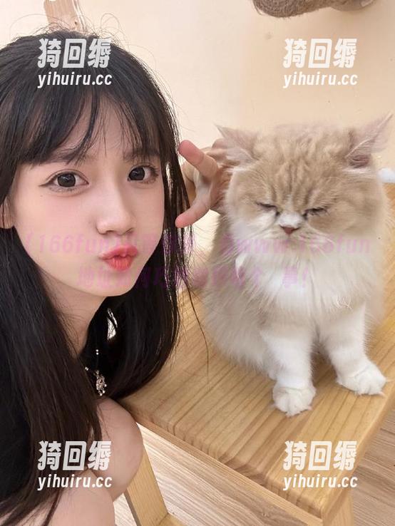 只等你来，看www.166fun地址如何巧妙编织每个囧事！
