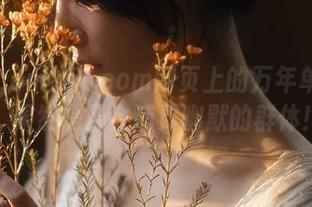 51.com网页上的万年单身族，果然是最会消费幽默的群体！