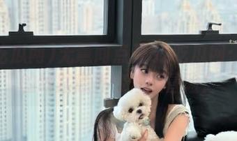 无意间点开52吃瓜网：看瓜的线路意外变炫酷冒险！