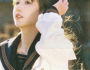 吃瓜不打烊，书房里的资源：每一个瓜都是隐藏宝藏。