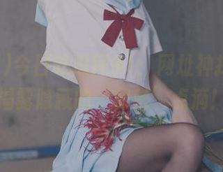 今日吃瓜网91：网址神探派对，揭露隐藏的‘秘密’点滴！