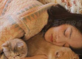 “网红黑料”带你在安卓世界翻滚，和瓜友一起爆料乐开怀！