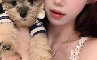 开启黑料吃瓜网新地址之旅，保证你永不迷路，快乐吃瓜！