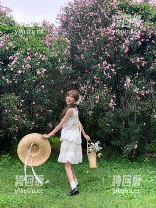 病态依赖还是健康追求？“黑料正能量668.su”网站的深层思考